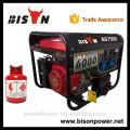 BISON (CHINA) BS Home mit kleinem LPG Generator / NG Generator / Benzingenerator